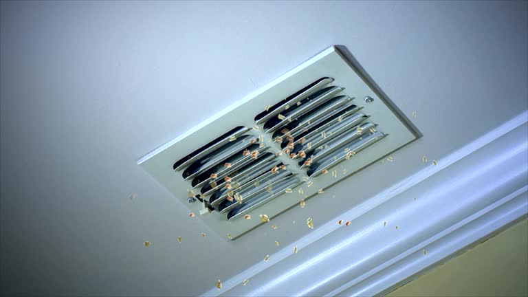 Best Best Air Duct Cleaning Company  in Wrightstown, WI